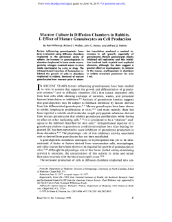Marrow Culture in Diffusion Chambers in Rabbits. I. Effect of Mature
