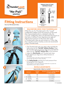 No-Pull - ThunderShirt