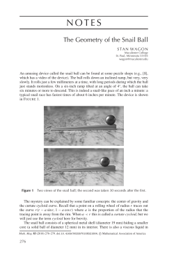The Geometry of the Snail Ball
