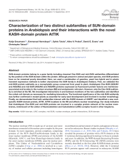 Characterization of two distinct subfamilies of SUN