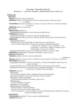 Syst&eacute;m bezobratl&yacute;ch, 2009 - IS MU