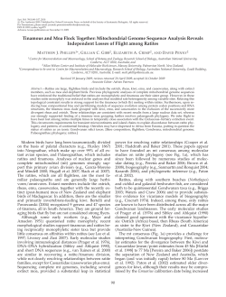 Tinamous and Moa Flock Together