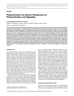 An Atomic Perspective on Photoactivation and