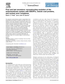 First and last ancestors: reconstructing evolution of the