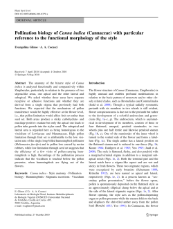 Pollination biology of Canna indica (Cannaceae) with particular