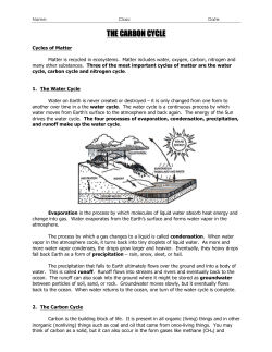 THE CARBON CYCLE