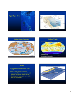 Epipelagic Zone Major Ocean Currents Surface Winds