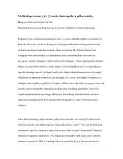 PDF only - at www.arxiv.org.