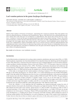 Leaf venation patterns in the genus Saxifraga (Saxifragaceae)