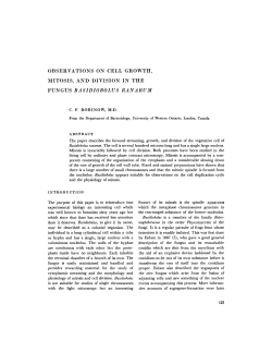 observations on cell growth, mitosis