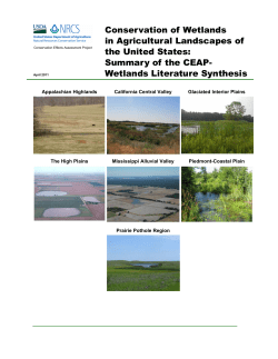 Conservation of Wetlands in Agricultural Landscapes of the United