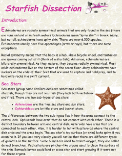 Starfish Dissection