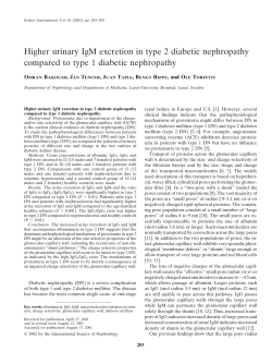 Higher urinary IgM excretion in type 2 diabetic nephropathy