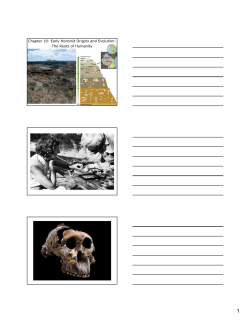 Chapter 10- Early Hominid Origins and Evolution: The Roots of