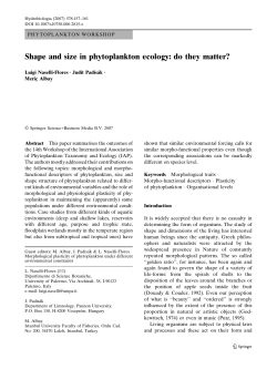 Shape and size in phytoplankton ecology: do they matter?
