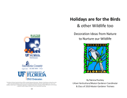 Holidays are for the Birds - UF/IFAS Extension Sarasota County