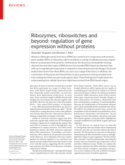 Ribozymes, riboswitches and beyond: regulation of gene expression