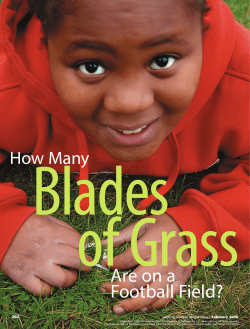 How Many Blades of Grass
