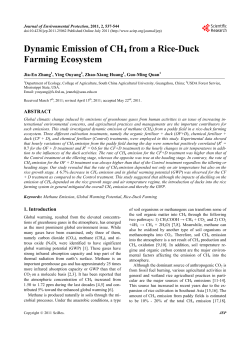 Dynamic Emission of CH4 from a Rice