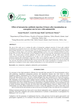 Effect of intrauterine antibiotic injection 24 hours after insemination