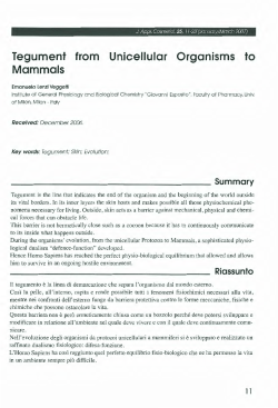Tegument Mammals from Unicellular Organisms to