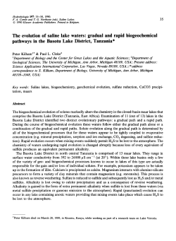 The evolution of saline lake waters: gradual and rapid