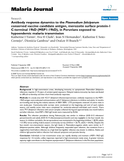 Antibody response dynamics to the Plasmodium falciparum