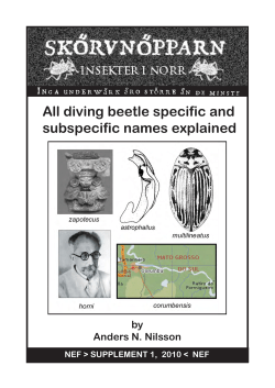 All diving beetle specific and subspecific names explained