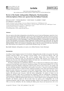 Preview - Magnolia press