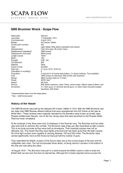 SMS Brummer - Printable Fact Sheet