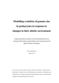 Modelling evolution of genome size in prokaryotes in response to