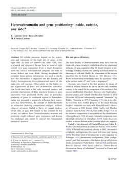 Heterochromatin and gene positioning: inside
