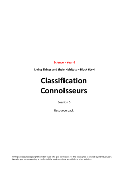 Classification Connoisseurs