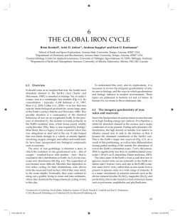 6 THE GLOBAL IRON CYCLE