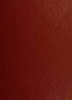 Earnings and stock splits