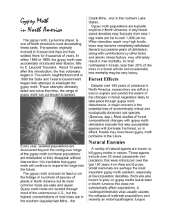 Gypsy Moth in North America