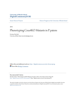 Phenotyping Cesa4KO Mutants in P. patens