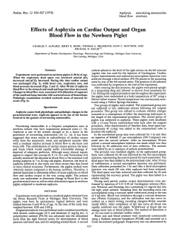 Effects of Asphyxia on Cardiac Output and Organ Blood