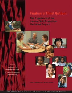 Child Protection Mediation Final Report