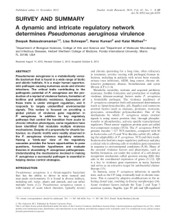 dynamic and intricate regulatory network determines Pseudomonas