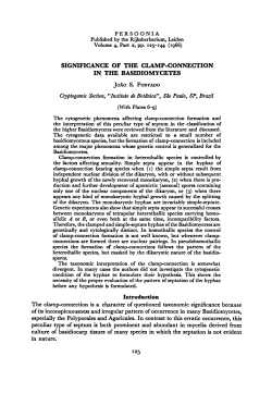 Jo&atilde;o+S. Cryptogamic Section, Botdnica", Sao Paulo, SP, (With