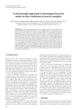 A microscopic approach to investigate bacteria under in situ