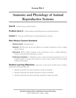 Anatomy and Physiology of Animal Reproductive Systems