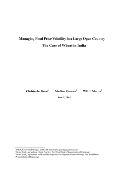 Managing Food Price Volatility in a Large Open Country: The Case