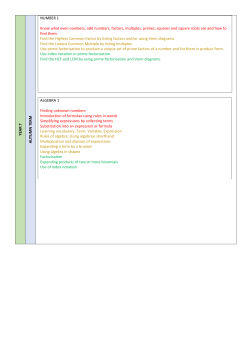 Numeracy Focus Overview