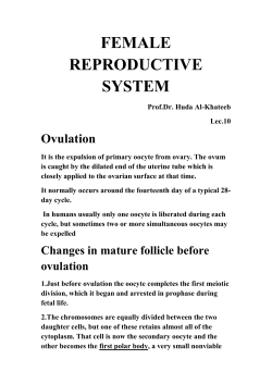 FEMALE REPRODUCTIVE SYSTEM