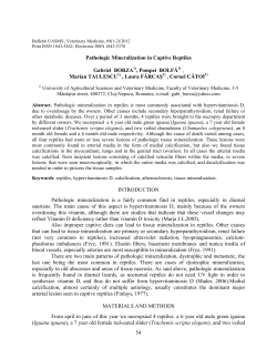 54 Pathologic Mineralization in Captive Reptiles Gabriel BORZA1