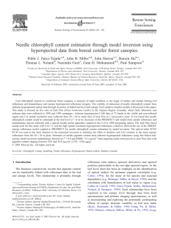 Needle chlorophyll content estimation through model inversion