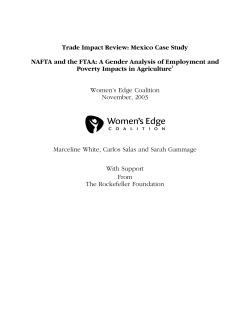 Trade Impact Review: Mexico Case Study NAFTA and the FTAA: A