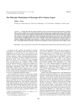 The Molecular Mechanisms of Messenger RNA Nuclear